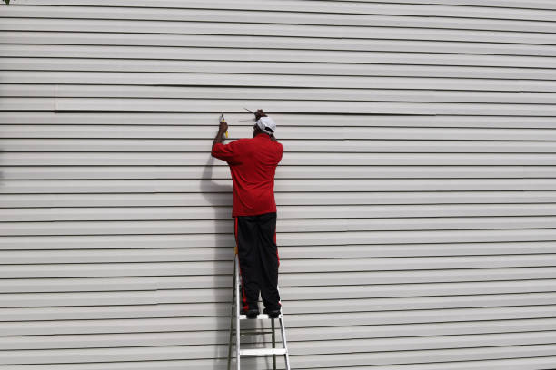 Best Storm Damage Siding Repair  in Waretown, NJ