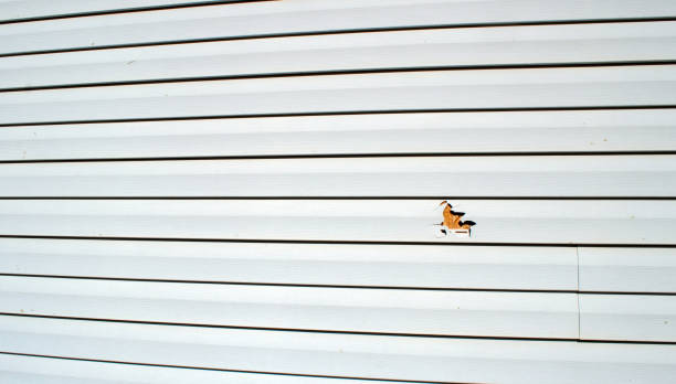 Best Wood Siding Installation  in Waretown, NJ